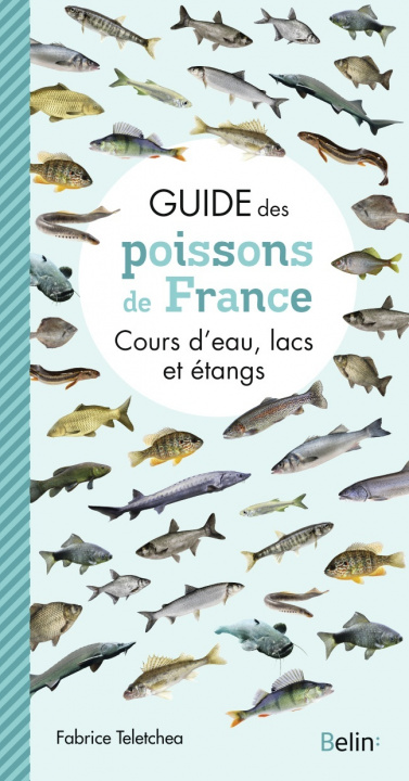 Buch Guide des poissons de France Teletchea