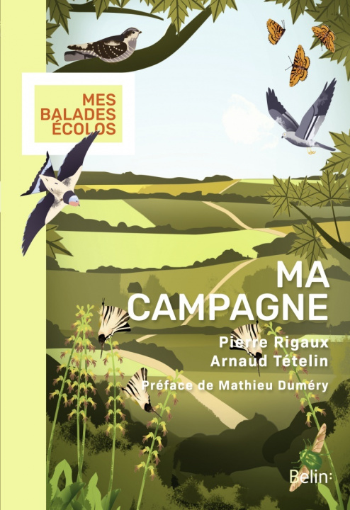 Buch Ma campagne Tételin
