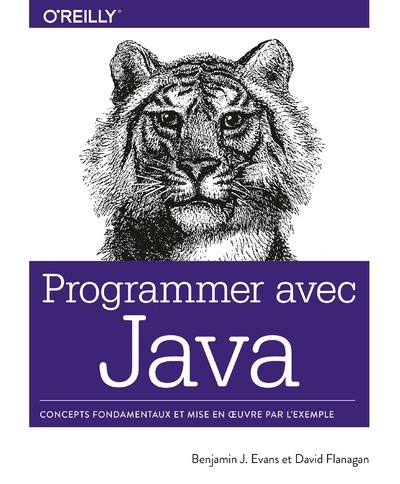 Kniha Programmer avec Java Ben Evans