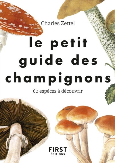 Buch Le petit guide des champignons Charles Zettel
