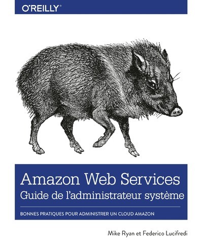 Kniha Amazon Web Services Guide de l'administrateur système Mike Ryan