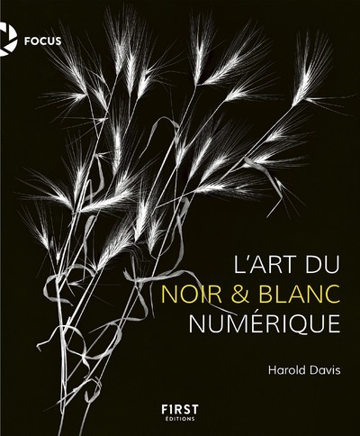 Könyv La Photographie en noir et blanc numérique Harold Davis