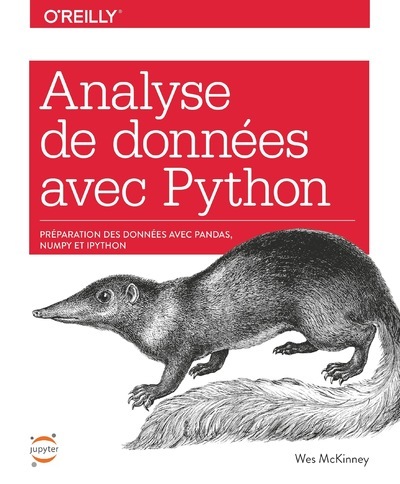 Kniha Analyse de données avec Python - Préparation des données avec Pandas, Numpy et Ipython Wes Mckinney