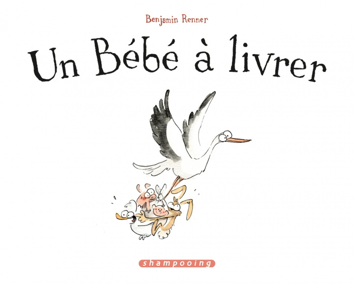 Kniha Un bébé à livrer 