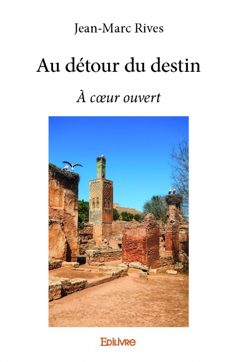 Buch Au détour du destin JEAN-MARC RIVES