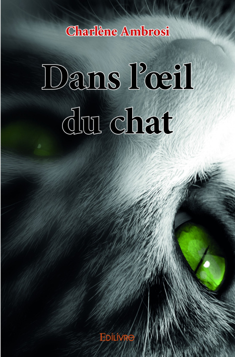 Buch Dans l'œil du chat CHARLENE AMBROSI