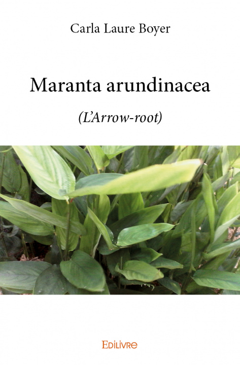 Könyv Maranta arundinacea Boyer