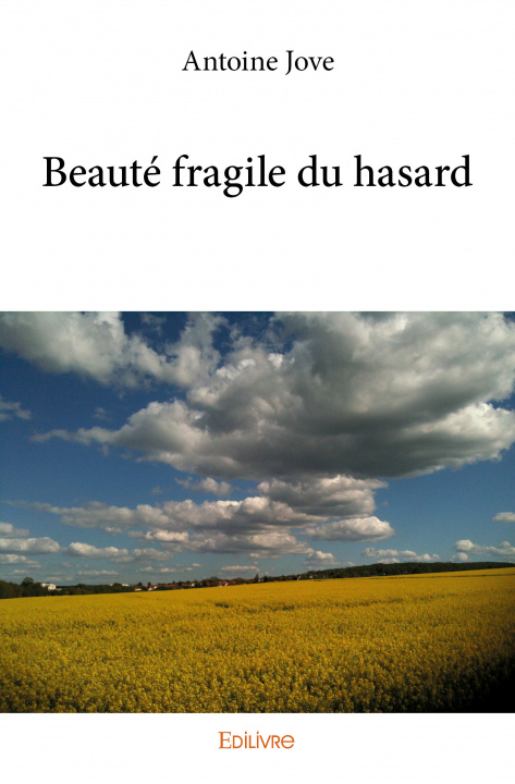Книга Beauté fragile du hasard JOVE ANTOINE
