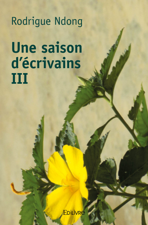 Livro Une saison d'écrivains iii NDONG RODRIGUE
