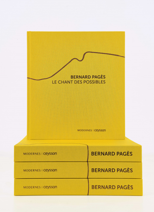 Book Bernard Pagès Colin Lemoine
