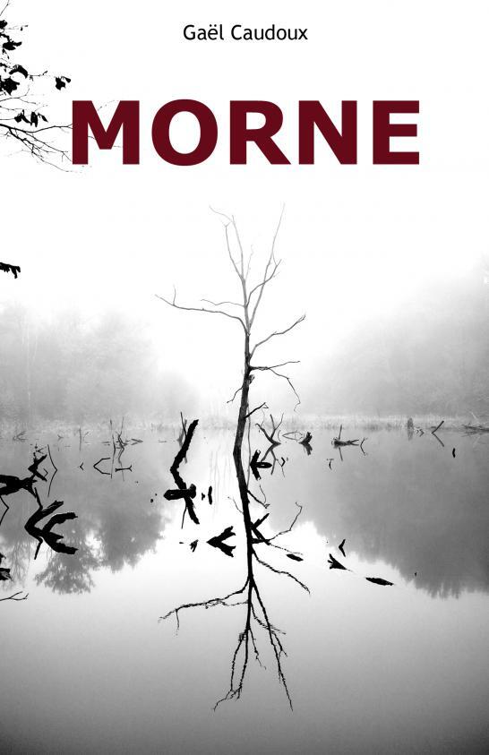 Buch MORNE Caudoux