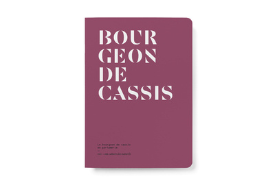 Knjiga Le Bourgeon de cassis en parfumerie Le collectif nez