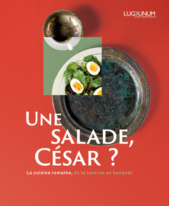 Knjiga Une salade, César ? 
