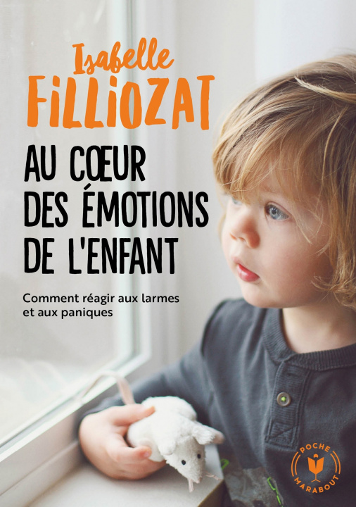 Kniha Au coeur des émotions de l'enfant Isabelle Filliozat