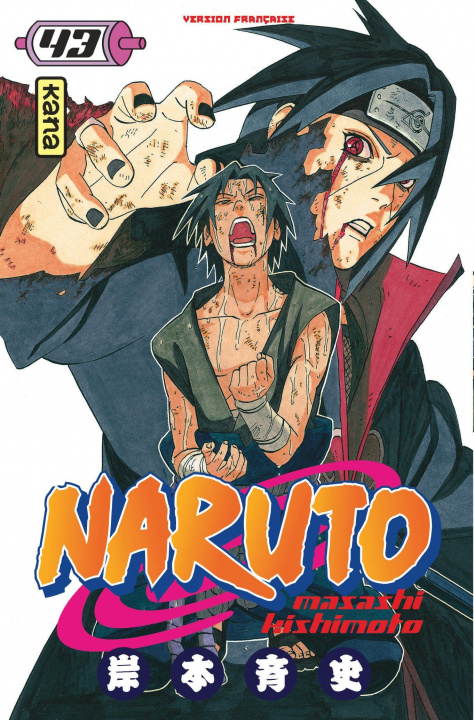 Kniha Naruto - Tome 43 Masashi Kishimoto