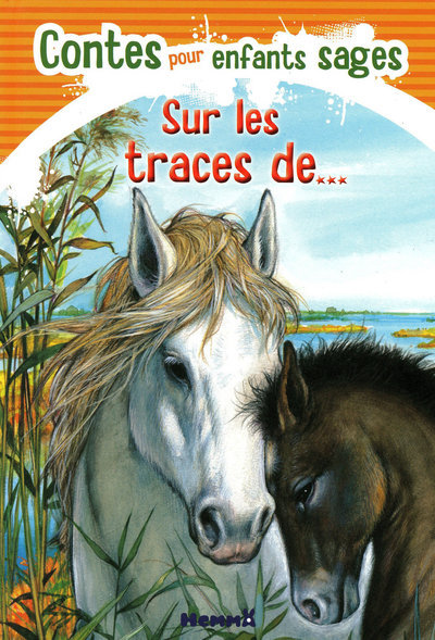 Libro SUR LES TRACES DE ..CONTES POUR ENFANTS SAGES Marie Duval