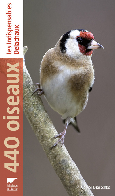 Buch 440 oiseaux Volker Dierschke