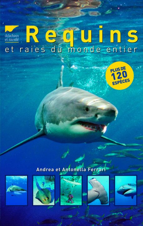 Kniha Requins et raies du monde entier (nvelle éd) Andrea Ferrari