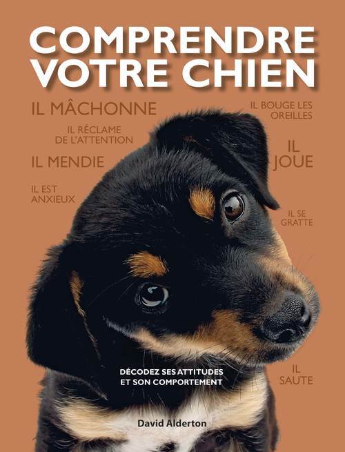 Buch Comprendre votre chien David Alderton