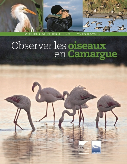 Kniha Observer les oiseaux en Camargue Michel Gauthier-Clerc