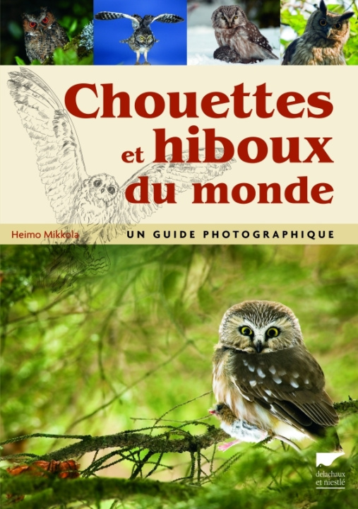 Kniha Chouettes et hiboux du monde Heimo Mikkola