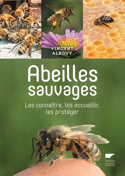 Kniha Abeilles sauvages Vincent Albouy
