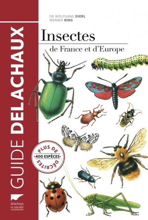 Kniha Insectes de France et d'Europe Wolfgang Dierl