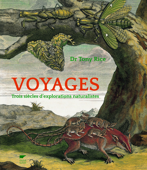 Kniha Voyages Tony Rice