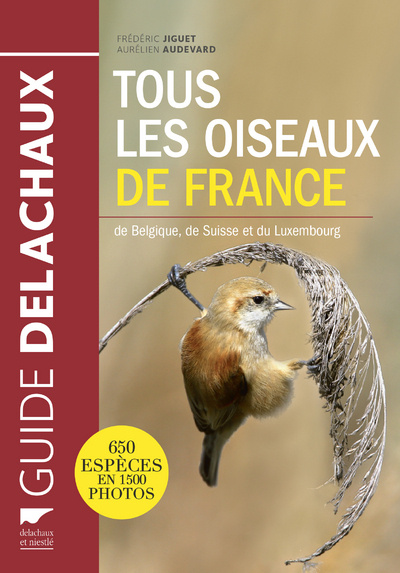 Kniha Tous les oiseaux de France Frédéric Jiguet
