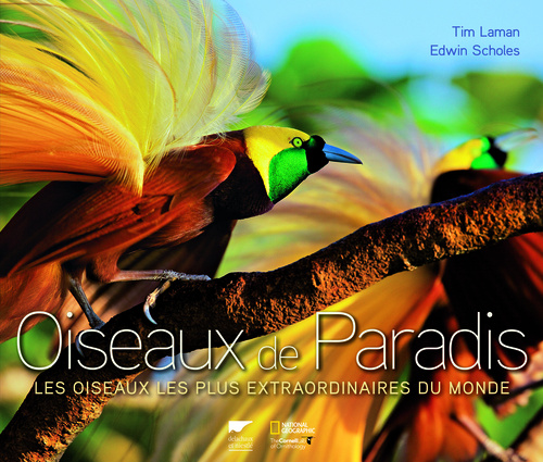 Kniha Oiseaux de Paradis Tim Laman