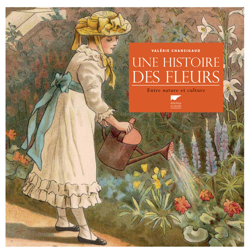 Kniha Une histoire des fleurs Valérie Chansigaud