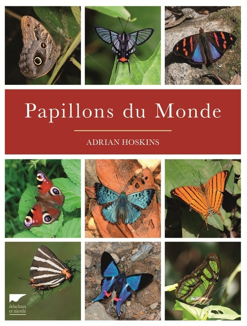 Kniha Papillons du monde Adrian Hoskins