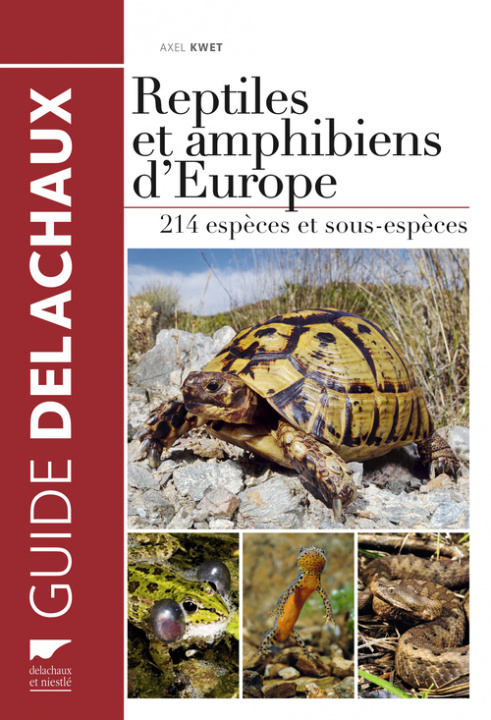 Kniha Reptiles et amphibiens d'Europe Axel Kwet