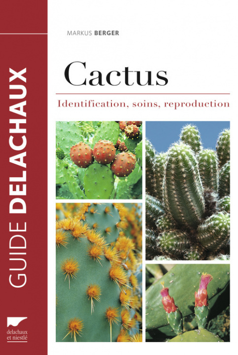 Kniha Cactus Markus Berger