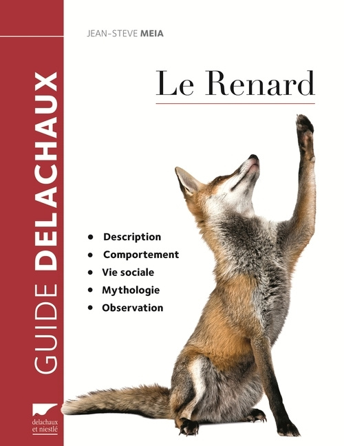 Kniha Le Renard Jean-Steve Meia