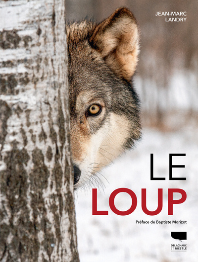 Carte Le Loup Jean-Marc Landry