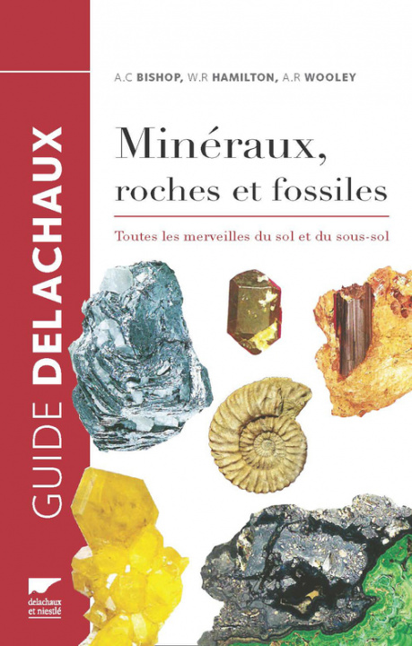 Carte Minéraux, roches et fossiles. Toutes les merveilles du sol et du sous-sol Arthur Clive Bishop