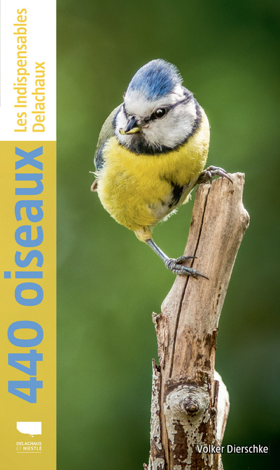 Book 440 oiseaux (nvelle éd) Volker Dierschke