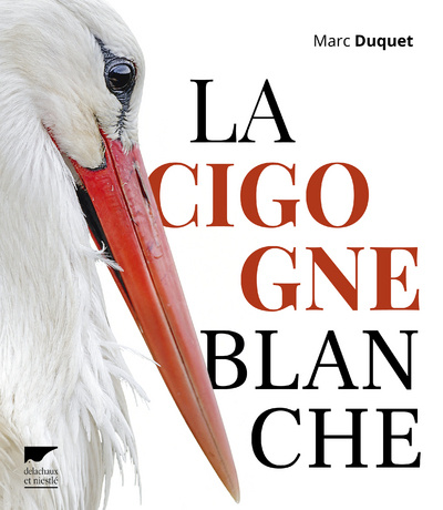 Könyv La Cigogne blanche Marc Duquet