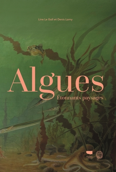 Carte Algues Line Le Gall