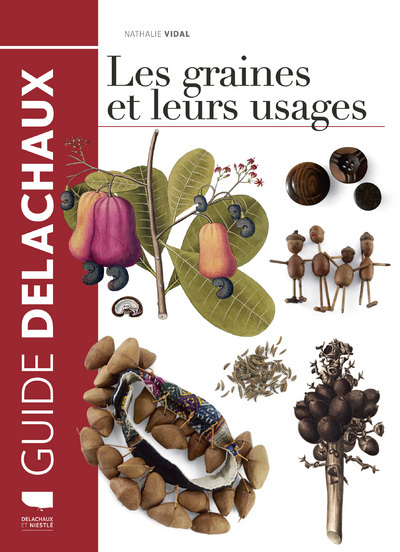Könyv Les Graines et leurs usages, tome 1 Nathalie Vidal