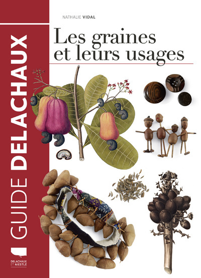 Carte Les Graines et leurs usages, tome 1 Nathalie Vidal