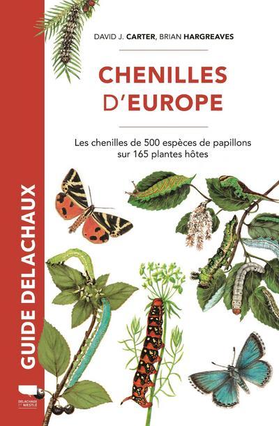 Książka Chenilles d'Europe. Les chenilles de 500 espèces de papillons sur 165 plantes hôtes David James Carter