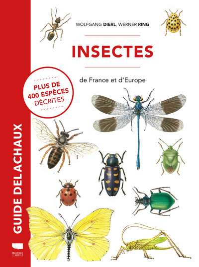 Kniha Insectes de France et d'Europe - Plus de 400 espèces décrites Wolfgang Dierl