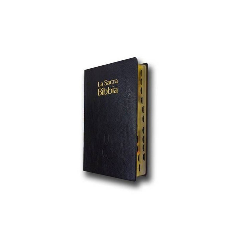 Bibbia Nuova Riveduta, Book hardback