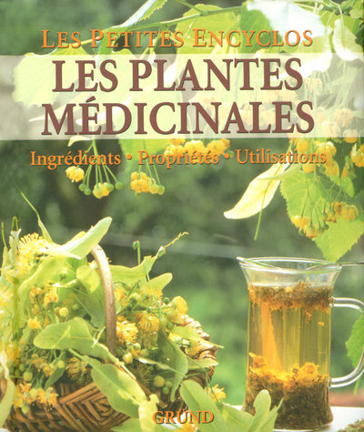 Kniha Les plantes médicinales Anne Iburg