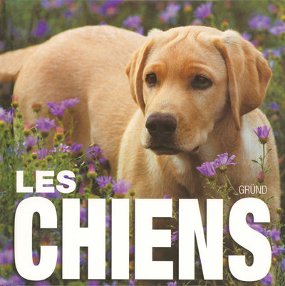 Knjiga Les chiens Vito Buono