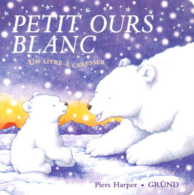 Buch Petit ours blanc Catherine Allison