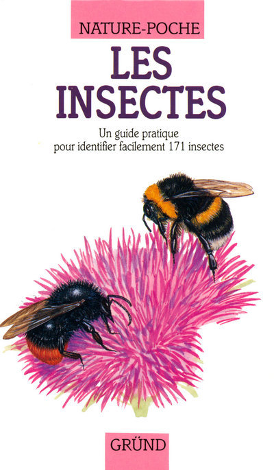 Buch Les insectes Pamela Forey