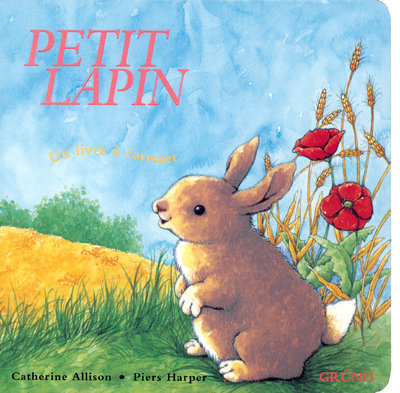 Livro Petit lapin Catherine Allison